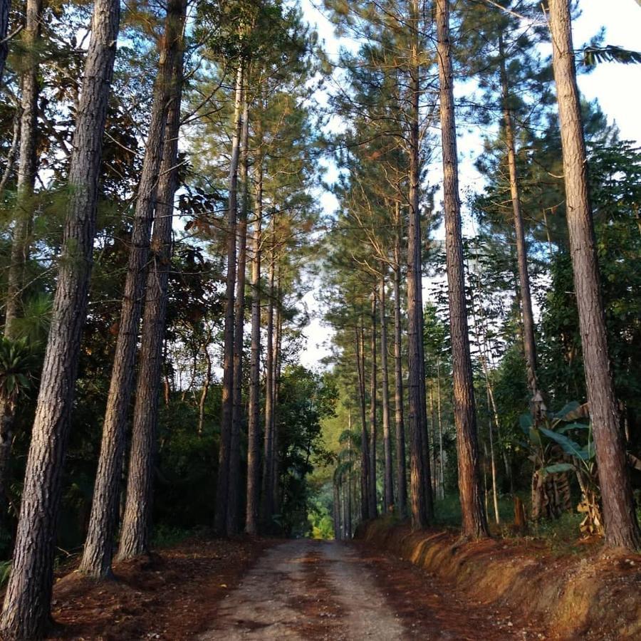 Hotel Rural Sitio Do Sol Guabiruba ภายนอก รูปภาพ